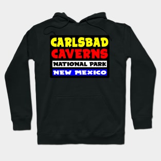 CARLSBAD CAVERNS NATIONAL PARK NEW MEXICO VINTAGE TRAVEL Hoodie